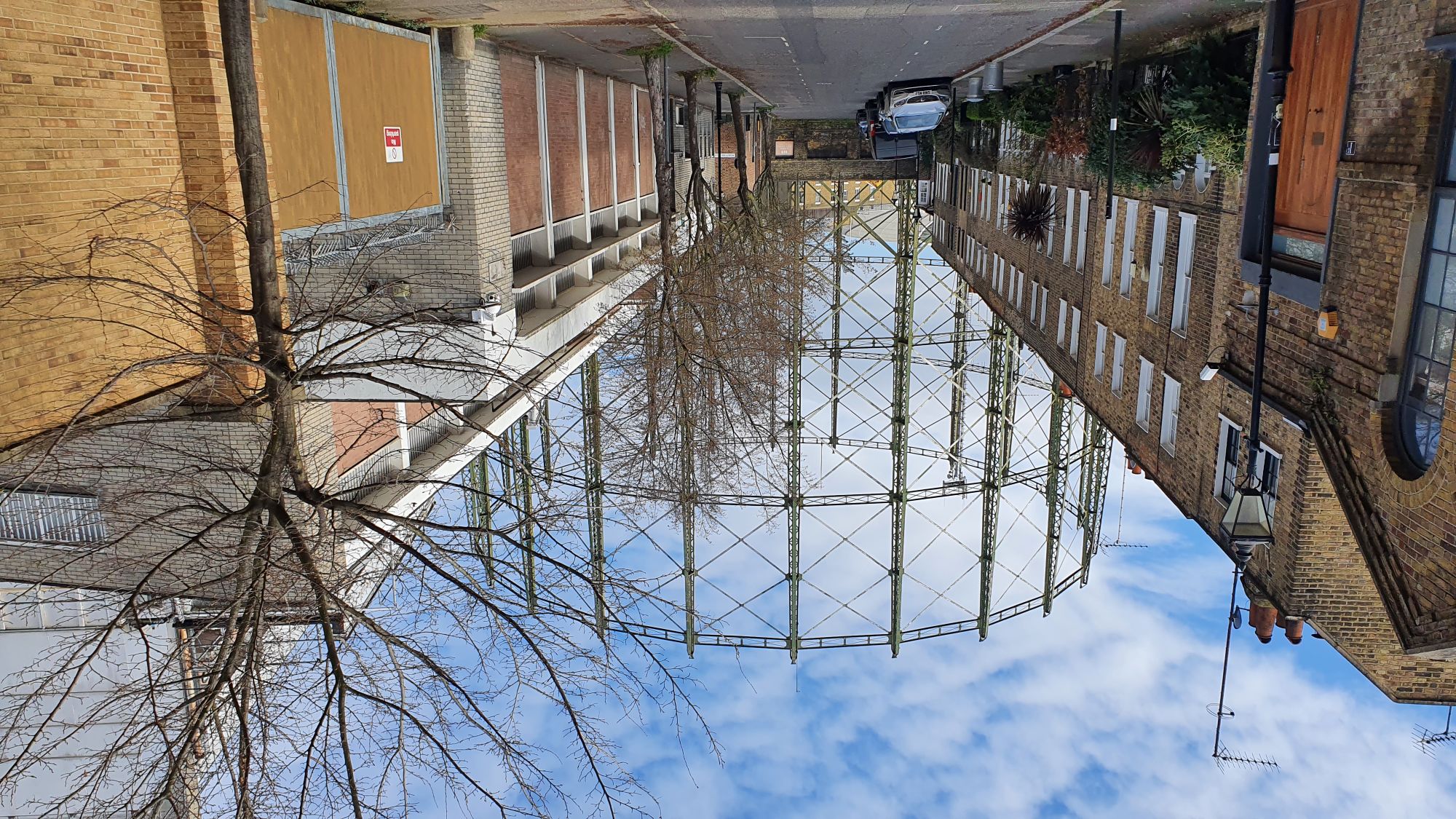 20220310_102312 low.jpg